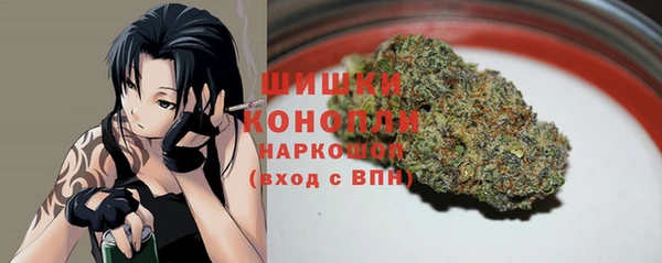 индика Нефтегорск