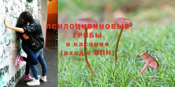 индика Нефтегорск