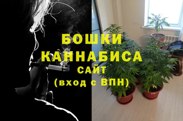 индика Нефтегорск