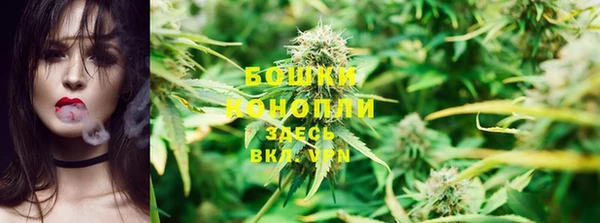 индика Нефтегорск