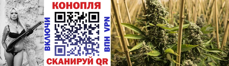 Купить закладки  Лабытнанги  Бошки марихуана SATIVA & INDICA 